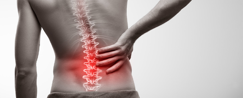 Illustration of the lower back with the lumbar region highlighted.
